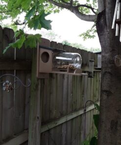 Birds Choice SNSQJAR Recycled Squirrel Jar Feeder, Squirrel Feeders, 7-1/4"L X 19"W X 15-3/4"H, Taupe w/ Green Roof 46 71peiceqAjL