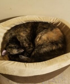 K&H Pet Products Thermo-Kitty Bed Heated Cat Bed Small 16 Inches Mocha/Tan 16.0"L x 16.0"W x 6.0"Th Retail Package 45 71peloCABoL