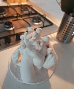 Luna Bean Huge Oversize XL Family Hand Casting Kit – Family Size Hand Molding Kit – Casts 6 Hands Comfortably Adults & Kids, Gifts for Family with Kids - Thanksgiving Gifts Family XL 59 71pewJtNWOL