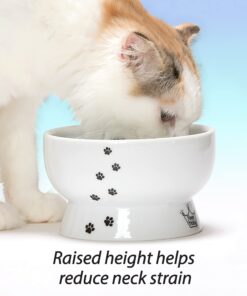 Necoichi Raised Cat Water Bowl, Elevated, with Measurement Lines, Dishwasher and Microwave Safe (Cat, Regular) 35 71pfM0Q8MAL