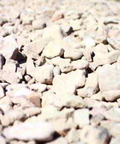 Hoya ALPHA CIR-PL 49MM 21 71pj5YOukiL