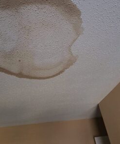 Zinnser 03688 Covers Up Stain Sealing Ceiling Paint, White 13 Ounce (Pack of 1) Spray Can 57 71pjyLUdKNL