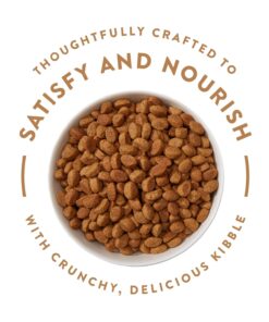 NUTRO ULTRA Adult Large Breed High Protein Natural Dry Dog Food with a Trio of Proteins from Chicken Lamb and Salmon, 30 lb. Bag 30 Pound (Pack of 1) 34 71pq8x8N2sL