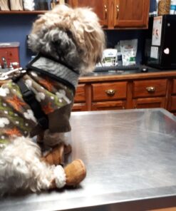 URBEST Dog Shoes with Hook Loop Closure Booties Pet Dog Chihuahua Shoes Boots, 4Pcs (5#, Brown) 5# 38 71pqt67tnXL