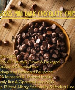 Gerbs Miniature Dark Chocolate Chips, 32 ounce re-closeable bag (semi-sweet), Top 14 Food Allergen Free & NON GMO, Product of Canada Chips - Miniature 2 Pound (Pack of 1) 13 71prCQfJg4L