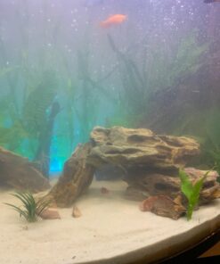 Carib Sea ACS05820 Super Natural Moonlight Sand for Aquarium, 5-Pound 5 lb 23 71prLX7mivL