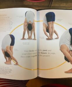 B.K.S. Iyengar Yoga: The Path to Holistic Health Hardcover 6 71pucHMNNbL