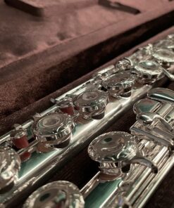 Glory HAND-ENGRAVED SILVER PLATED HIGH GRADE FLUTE 17 Hole OPEN/CLOSED C Flute With Case, Tuning Rod and Cloth and Gloves,HIGH GRADE HAND ENGRAVED 17 Open Hole Flower 30 71pvdiqmOL