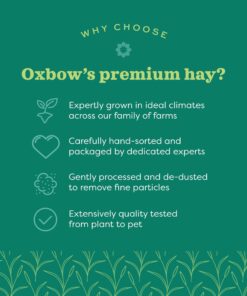 Oxbow Animal Health Western Timothy Hay - All Natural Hay for Rabbits, Guinea Pigs, Chinchillas, Hamsters & Gerbils -Veterinarian Recommended- Grown in the USA-90 oz. 5.62 Pound (Pack of 1) 22 71pxCpRsiL