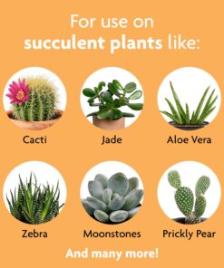 Miracle-Gro Succulent Plant Food, 8 Oz., For Succulents including Cacti, Jade, And Aloe, 1 Pack 36 71q BhhG L