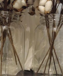 1790 Large Glass Jars with Lid - Wide Mouth 1 Gallon Glass Jar with Lid - Glass Gallon Jar for Kombucha & Sun Tea - Gallon Mason Jars are Large Glass Jars with Lids 1 Gallon for Food Storage - 2 Pack 33 71q CtgaujL