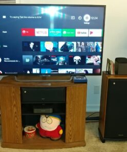 BIC America H-100II 12-Inch 150 Watt Front Firing Powered Subwoofer, (Black) 14 71q2e7xISSL