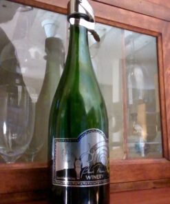 Champagne Stoppers by Kloveo - Patented Seal (No Pressure Pump Needed) Made in Italy - Professional Grade WAF Champagne Bottle Stopper - Prosecco, Cava, and Sparkling Wine Stopper - Chrome, 2-Pack 18 71q40Z7tRWL