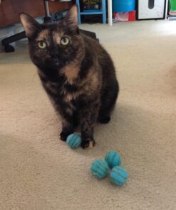 Pet Pizazz Wool Ball Cat Toy - 6PC - 100% Wool Cat Toys for Indoor Cats Interactive 25 71q4lfkV71L