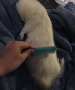 Honbay 4 Packs Combs Double sided Pet Combs, Cat Dog Pet Grooming Fine Tooth Hair Combs 25 71q5HFgovIL