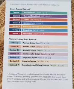 Netter's Anatomy Flash Cards (Netter Basic Science) 35 71q5ZAgkE8L