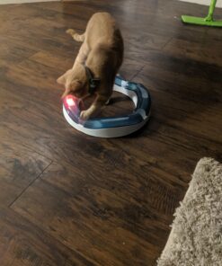 Catit Design Senses Speed Circuit 26 71q5zBJJhL