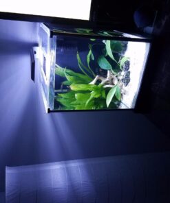 Fluval SPEC Freshwater Aquarium Kit, Aquarium with LED Lighting and 3-Stage Filtration, 2.6 Gallon, Black, Large Breeds 2.6 Gal. 55 71q9DhXJT4L