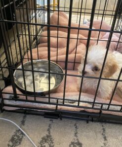 MidWest Homes for Pets Snap'y Fit Food Bowl | Pet Bowl, 20 oz. (2.5 cups) | Dog Bowl Easily Affixes to a Metal Dog Crate, Cat Cage or Bird Cage | Pet Bowl Measures 6L x 6W x 2H Inches,Silver 20 Ounces (2.5 cups) 33 71q9H2qYgL