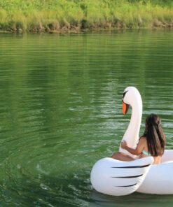 One Giant Swan Inflatable Pool Float I 78 x 55 Inflatable Kiddie Pool for Kids, Adults and Toddlers I Blow Up Pool Floats for Swimming Pool Lounger I Bachelorette Pool Floats Swimming Pool Toys Rafts 38 71qAWbqopmL