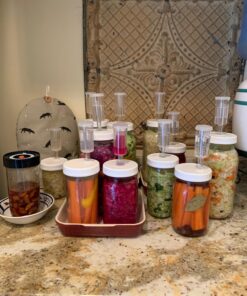 Cutting Edge Cultures Vegetable Starter Culture, 6 Pouches, 12g 0.42 Ounce 16 71qArWYiS4L