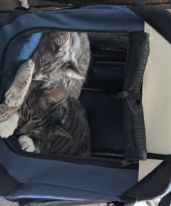 PetLuv-Happy Cat Premium Cat Carrier Soft Sided Foldable Top & Side Loading Pet Crate & Carrier Locking Zippers Shoulder Straps Seat Belt Lock Plush Pillow 24.0"L x 16.0"W x 16.0"H Navy Blue 46 71qCBaPdSsL