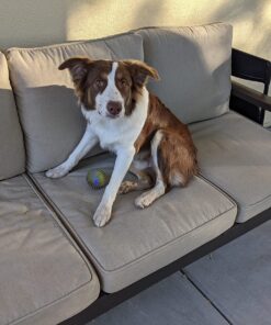 Quality Outdoor Living 29-BG23SB All-Weather Patio Chair Deep Seat and Back Cushion, 23x26, Beige 24 71qFYxEAfmL