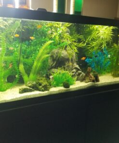 API LEAF ZONE Freshwater Aquarium Plant Fertilizer 18-Ounce Bottle White 16oz 47 71qGxMFAcdL