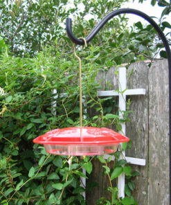 Aspects 367 Hummzinger Ultra Hummingbird Feeder, 12-Ounce,4 Feeding,Red 25 71qHFWwsomL