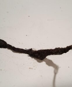 General Pipe Cleaners R-25SM Spin Thru Drain Auger with 1/4-Inch by 25-Feet Cable (P-25SM) 30 71qHmOYkjPL