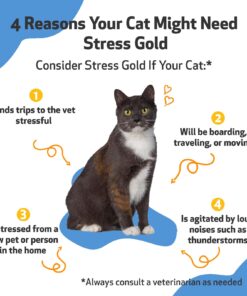 Pet Wellbeing Stress Gold for Cats - Vet-Formulated - Calming and Relaxing for High-Stress Situations - Natural Herbal Supplement 2 oz (59 ml) 8 71qI21pi5YL