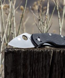 Spyderco Ambitious Value Knife with 2.31" Stainless Steel Blade and Durable Black G-10 Handle - PlainEdge - C148GP 30 71qJ0IH8D5L