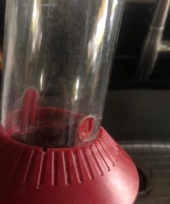 Roamwild PestOff Red Squirrel Proof Cardinal Bird Feeder Mixed Seed Sunflower Heart Version - RED - 3LBS Seed Capacity – 20.5”x7.5”x7.5” (w/Hanger) 25 71qKpVxyIzL