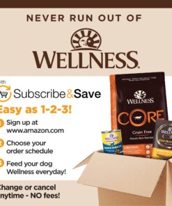 Wellness CORE Natural Grain Free Dry Dog Food, Puppy, 4-Pound Bag 4 Pound (Pack of 1) 20 71qKvrCdsZL 1