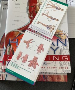 Pocket Anatomy & Physiology Spiral-bound 15 71qN2BLcXZL
