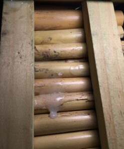 Esschert Design WA02 Bee House 8 71qNYWGBbL