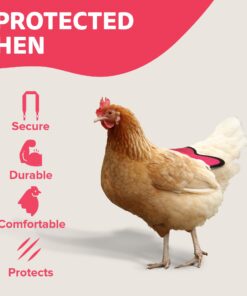 Hen Saver Hen Apron/Saddle, Single Strap, Small/Medium, Awareness Pink Medium 16 71qNuevo JL
