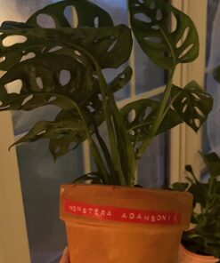 DYMO Embossing Label Maker with 3 DYMO Label Tapes, Organizer Xpress Pro Label Maker Starter Kit, Ergonomic Design, For Home, DIY & Crafting 57 71qOVChh0OL