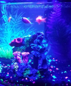 GloFish Aquarium Fish Tank Kits, Includes Fish Tank Decorations and LED Lighting, Tetra Filter and Water Conditioner 5-gallon crescent kit 37 71qQP3LorEL