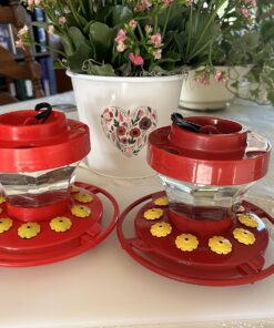 First Nature 993091-546 16 oz. Hummingbird Flower Feeder 29 71qRNhdrKdL