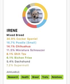 Embark Breed & Health Kit (2 Pack) - Dog DNA Test - Discover Breed, Ancestry, Relative Finder, Genetic Health, Traits, COI 2 Count (Pack of 1) 24 71qSAxISkEL 1