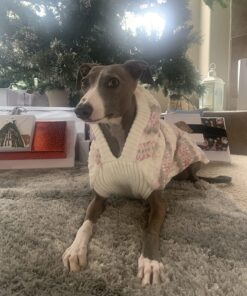 Virbac CET Enzymatic Toothpaste Eliminates Bad Breath by Removing Plaque and Tartar Buildup, Best Pet Dental Care Toothpaste -Beef Flavor, 2.5 Oz Tube (Color Varies) Beef 35 71qSWN4JkNL