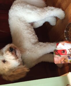 Rachael Ray Nutrish Dish Premium Natural Dry Dog Food, Chicken & Brown Rice Recipe with Veggies & Fruit, 3.75 Pounds 3.75 Pound (Pack of 1) 37 71qToAkhJtL