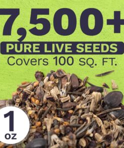 Bee Friendly Wildflower Seed Mix - Bulk 1 Ounce Packet - Over 7,500 Open Pollinated Seeds - Save The Bees! 1 Ounce Pouch 30 71qUfJSjcjL