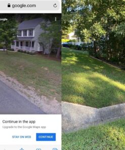 Root Ruckus Compost Fertilizer Organic - Turbo Charged Compost for Plants (32 oz) - Humic Acid & Sea Kelp Nutritional Root Supplement for Lawns, Soil, Shrubs & Vegetables 1 Quart 22 71qXRleX5BL