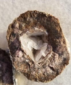 Large Size Break Open Geodes Kit 12 Whole Geodes By Ancient Treasure Adventures 76 71qYw3dfDL