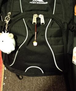 High Sierra Swerve Laptop Backpack, Black, One Size 32 71qZSYV6NhL