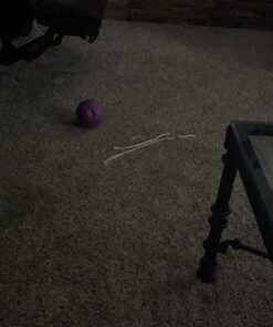 Booda Fresh N Floss 3 Knot Tug Rope Dog Toy, X-Large, Spearmint 39 71qZYlakIjL