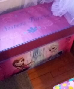 Idea Nuova Disney Frozen Collapsible Children’s Toy Storage Trunk, Durable with Lid 30 71qc2DQsOJL