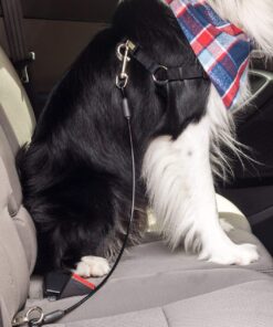 Leash Boss Dog Car Seat Belt Restraint - No-Chew Heavy Duty Car Seatbelt for Pets - 5 Sizes - Coated Steel Rope to Prevent Chewing (31 in) Black - 1-Pack 31in 23 71qeR3dMzwL